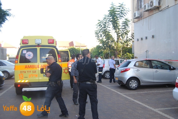 masra3mosen32j (8).JPG